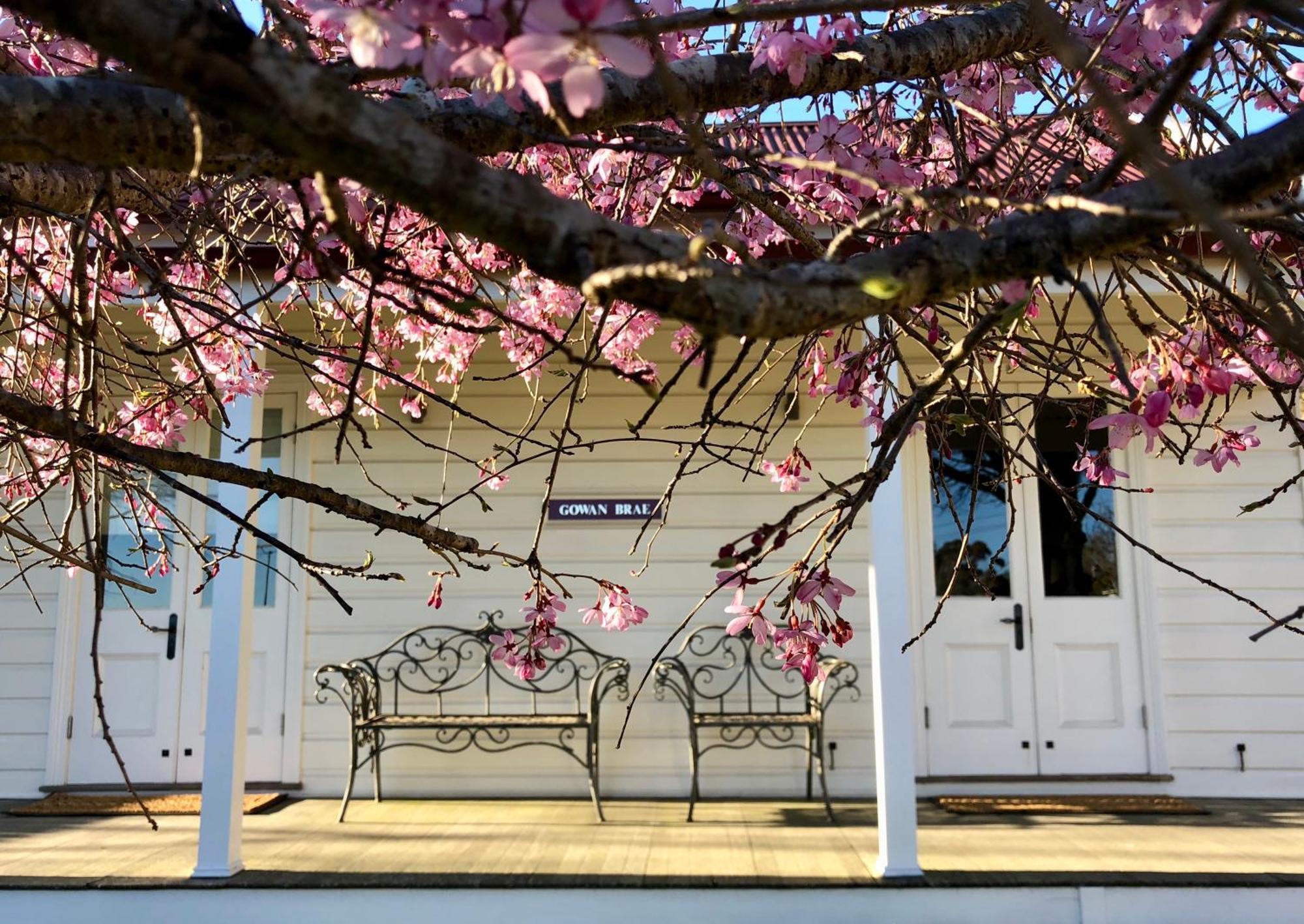 Gowan Brae Cottage Katoomba Εξωτερικό φωτογραφία