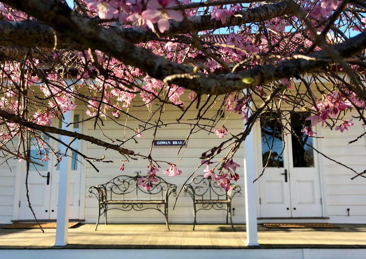 Gowan Brae Cottage Katoomba Εξωτερικό φωτογραφία